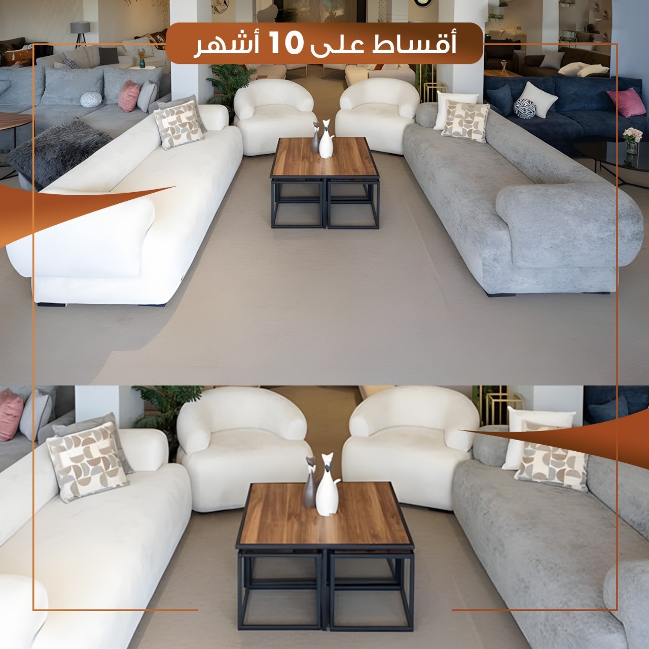 تخم قنفات  وكالة فنينسيا