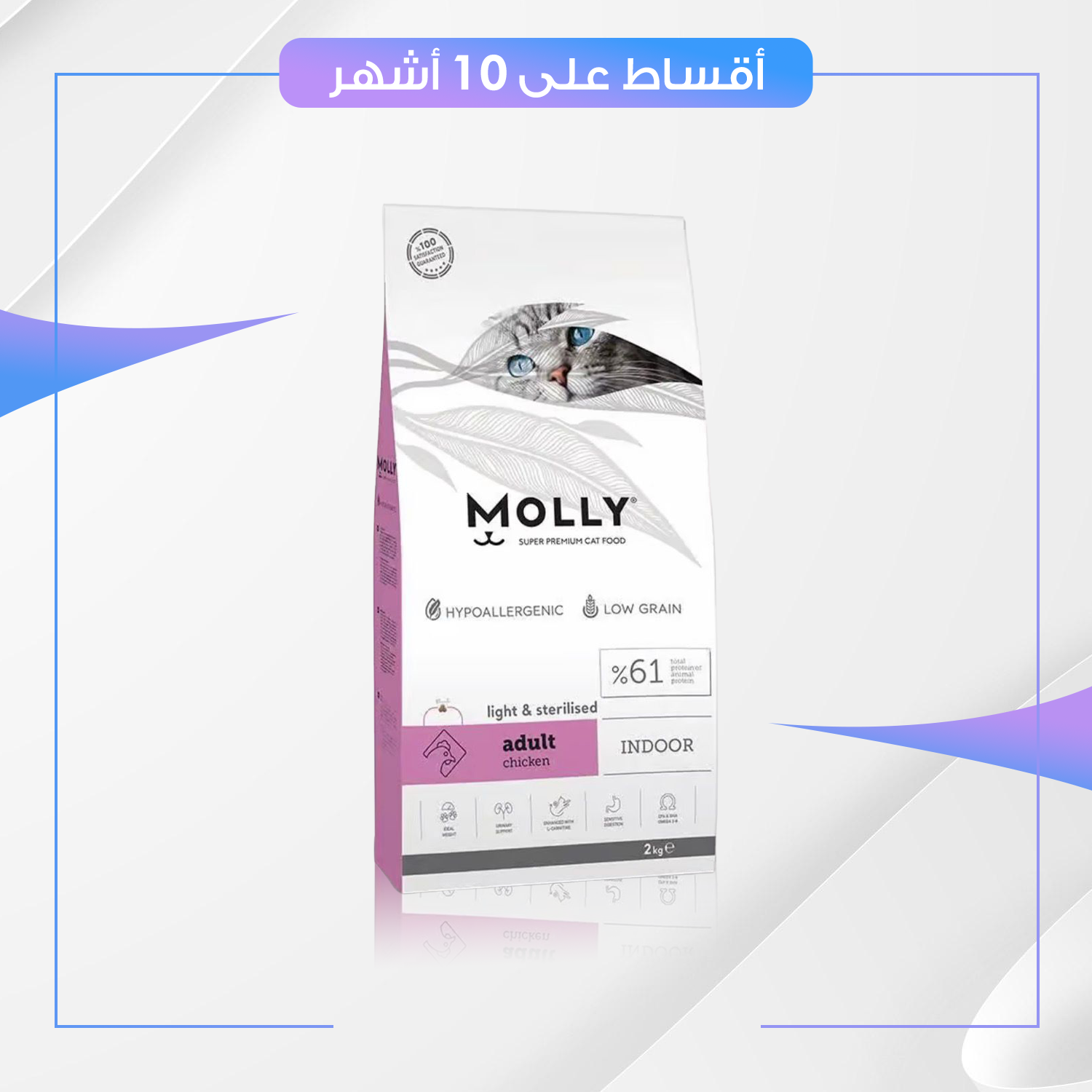 دراي فود MOLLY 2KG نكهة الدجاج