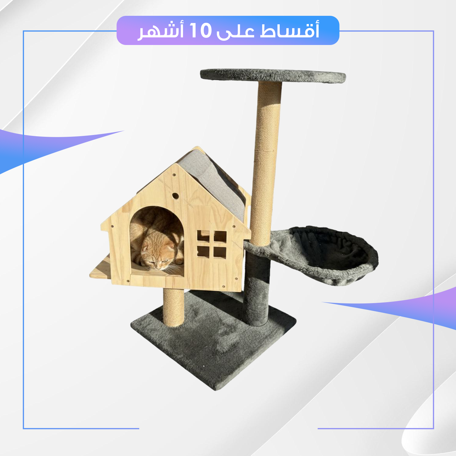 خداشة للقطط