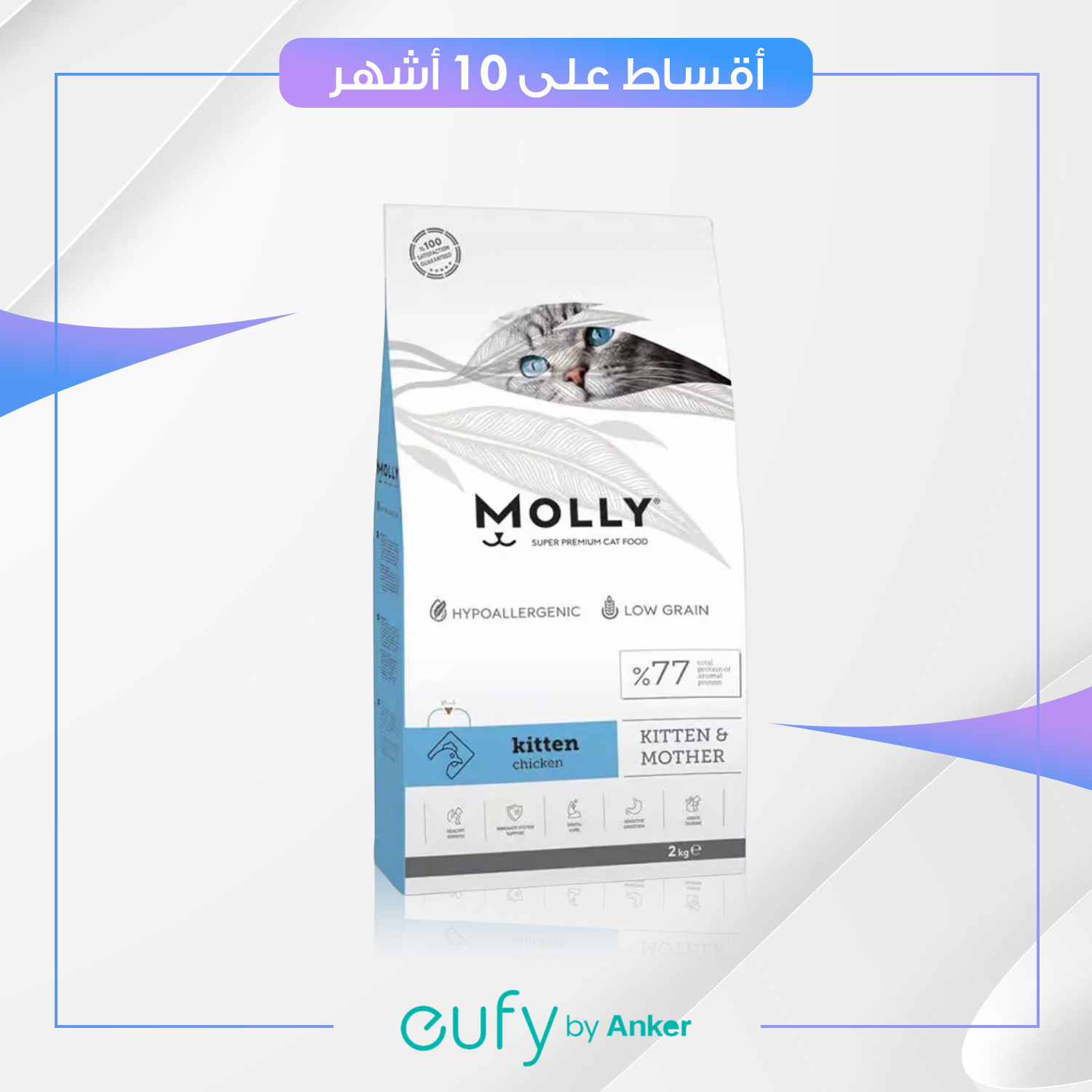 دراي فود MOLLY 2KG نكهة كتن الدجاج