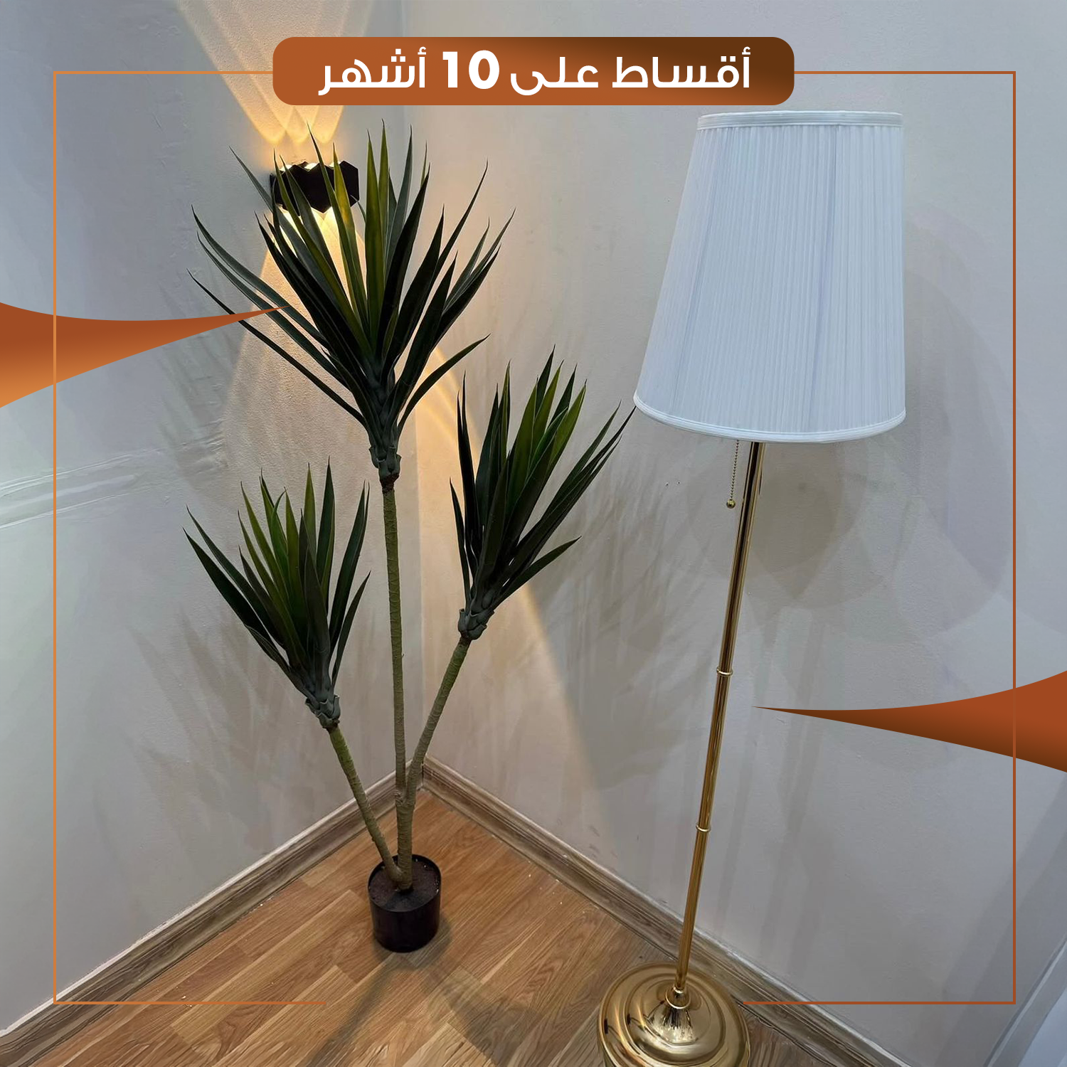 نبات زينة مع سندانة اسود - HACS-IKIA-NB-067