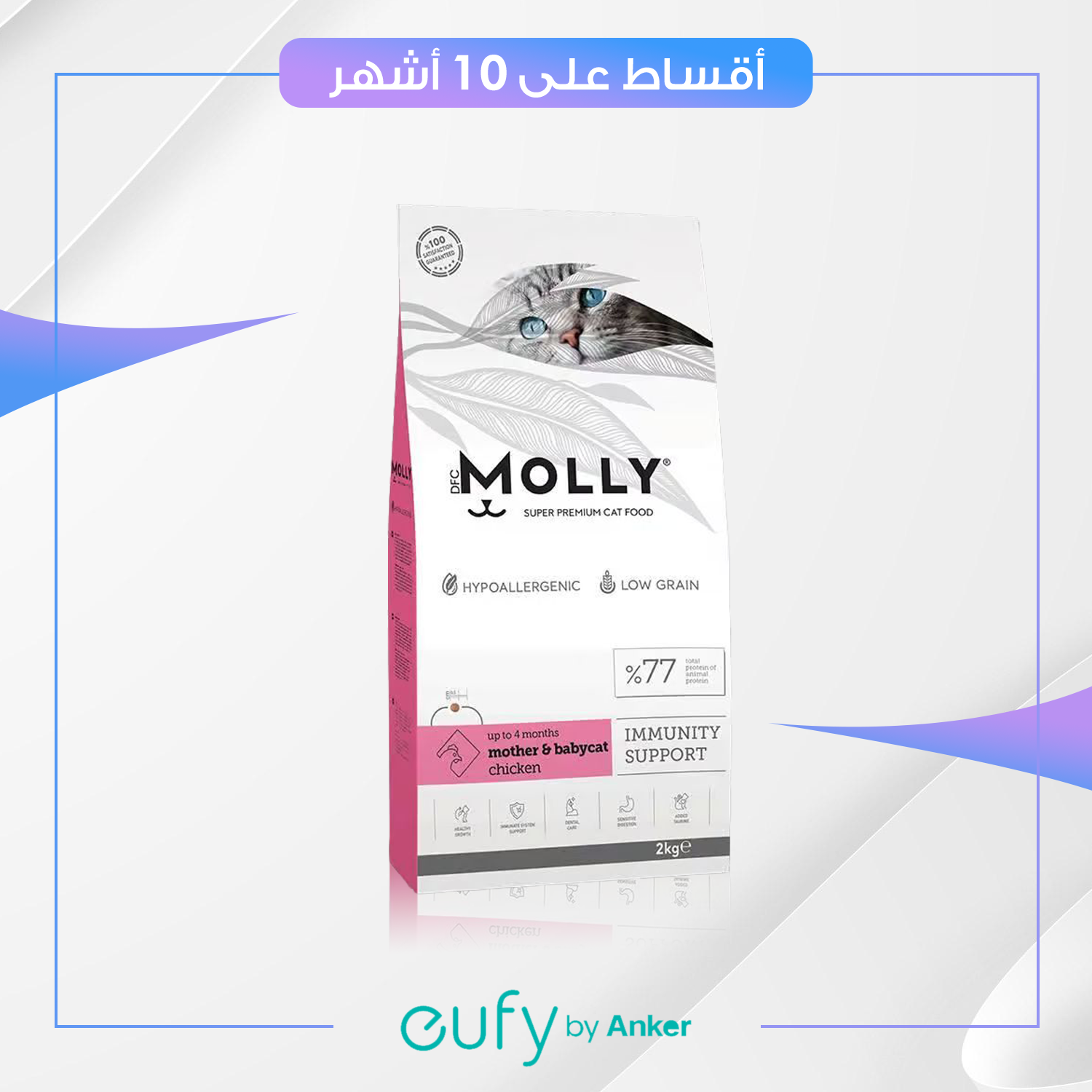 دراي فود MOLLY 2KG نكهة الدجاج